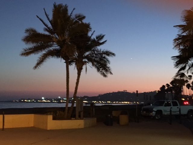 palm-tree-sunset